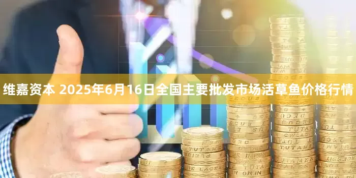 维嘉资本 2025年6月16日全国主要批发市场活草鱼价格行情
