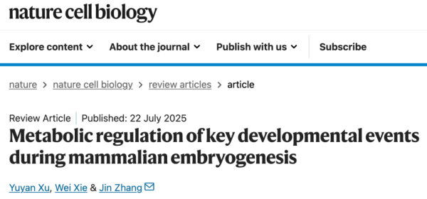芝麻配资 Nature系列综述：浙江大学张进团队总结哺乳动物胚胎发育过程中关键发育事件的代谢调控