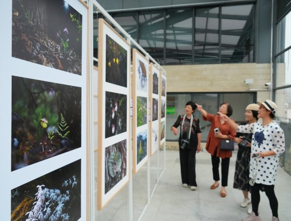 九龙配资 这场展为何能吸引15万人次？答案全在镜头里